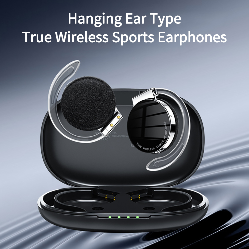 F2 TWS Earphones With Micropho – Sports Earphone Hook Bewertung und Preis